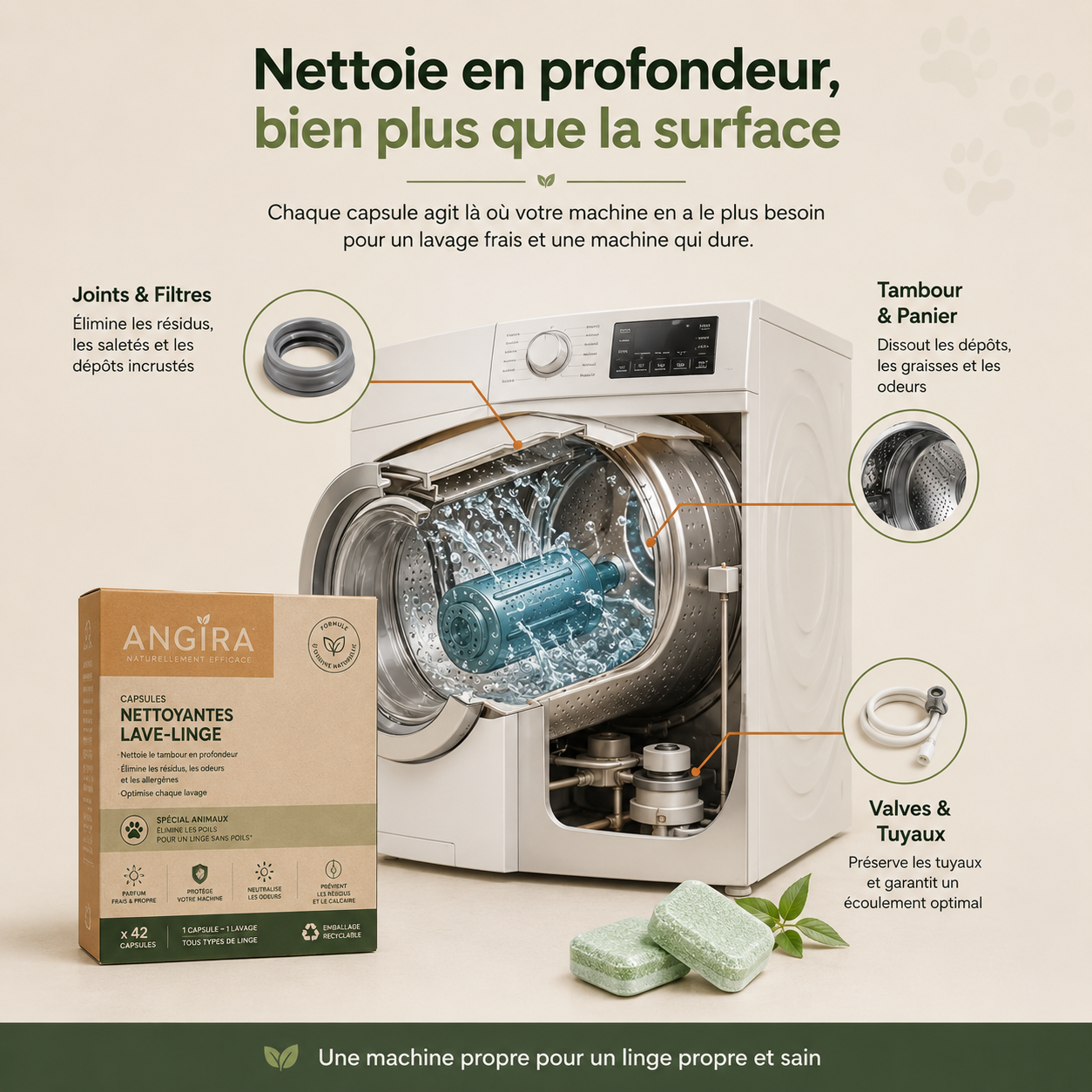 Zones du lave-linge nettoyées par les capsules Angira : joints, filtres, tambour, valves et tuyaux